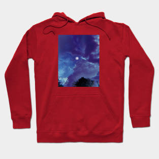 Moon in the sky Hoodie